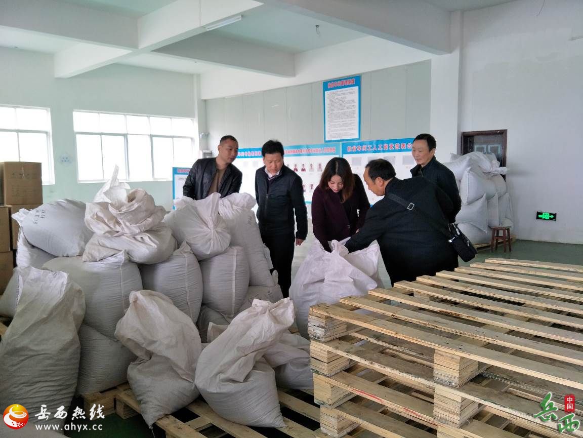 安庆市食品药品监督管理局 对岳西县食品生产