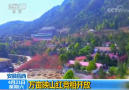 央视《朝闻天下》：安徽岳西万亩映山红竞相开放